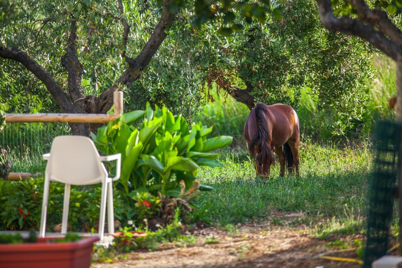 Il Gallo Con Gli Stivali Termoli Εξωτερικό φωτογραφία