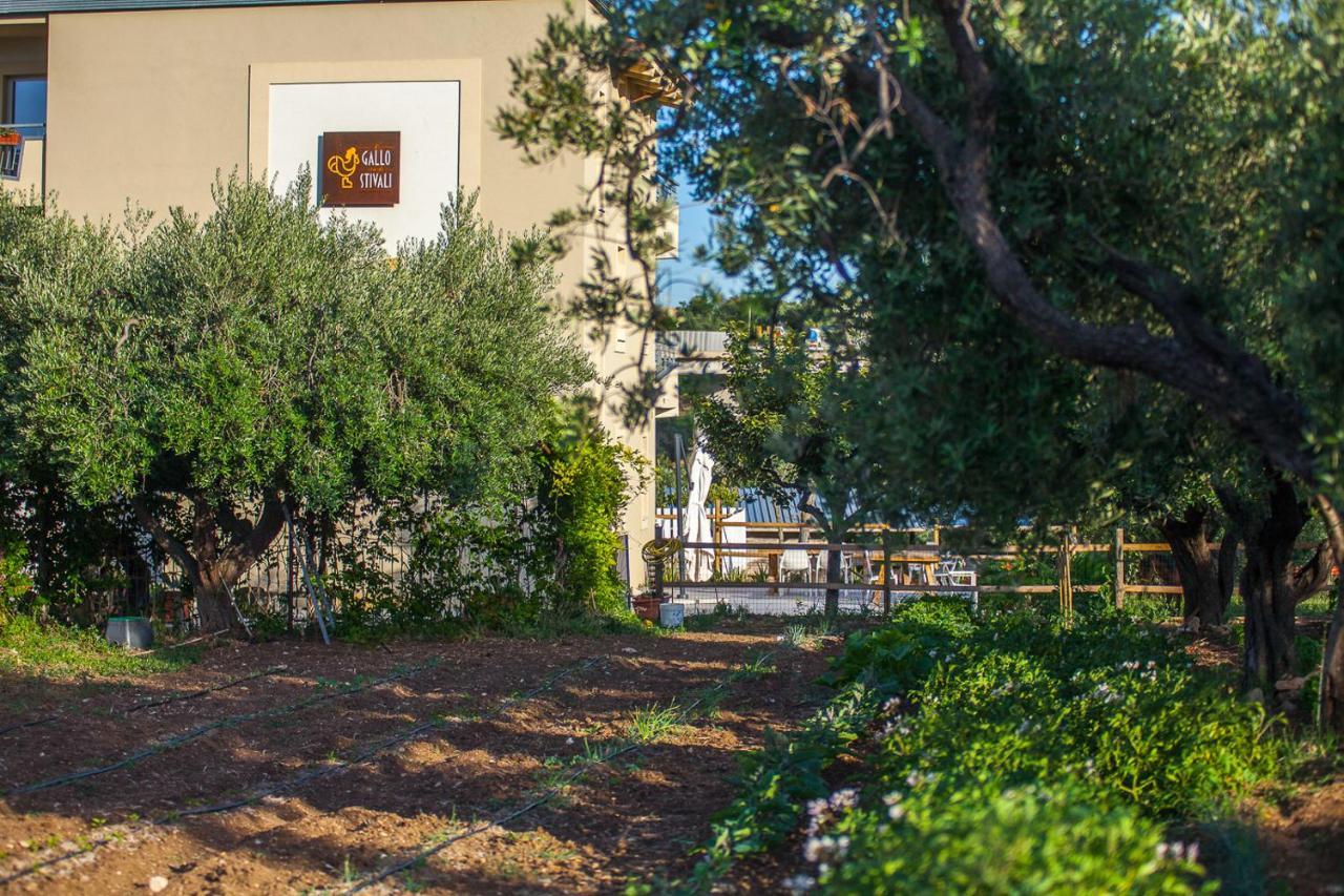 Il Gallo Con Gli Stivali Termoli Εξωτερικό φωτογραφία