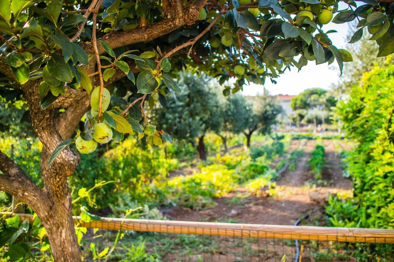 Il Gallo Con Gli Stivali Termoli Εξωτερικό φωτογραφία
